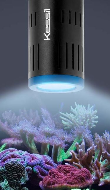 A160WE LED Aquarium Light - Kessil - Image 13