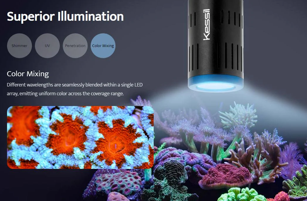 A160WE LED Aquarium Light - Kessil - Image 15