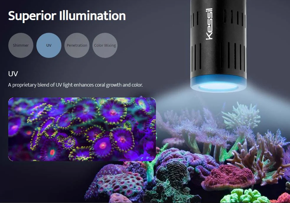 A160WE LED Aquarium Light - Kessil - Image 16