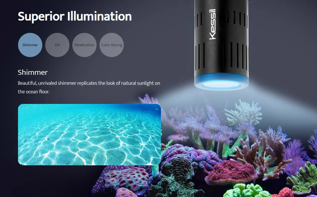 A160WE LED Aquarium Light - Kessil - Image 17