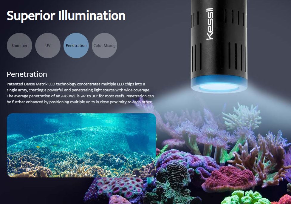 A160WE LED Aquarium Light - Kessil - Image 18