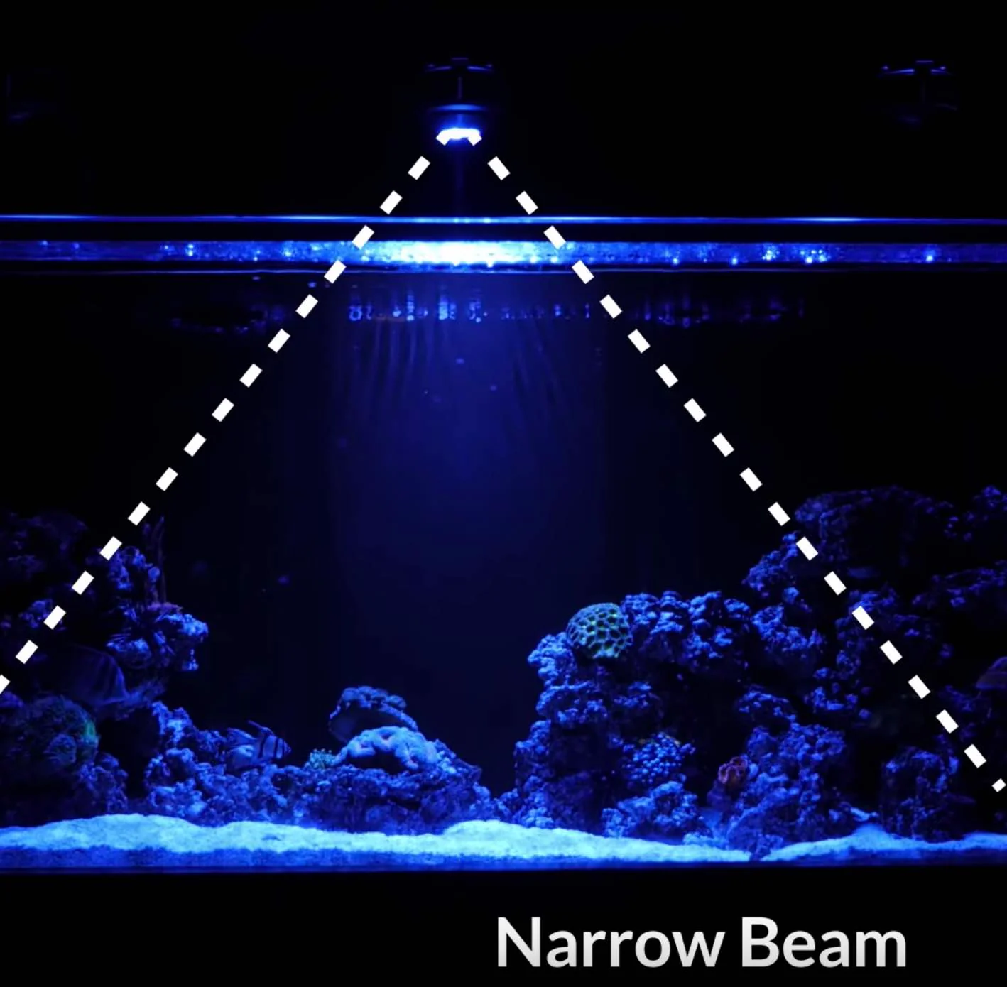 A360X Tuna Sun LED Freshwater Aquarium Light - Kessil - Image 11