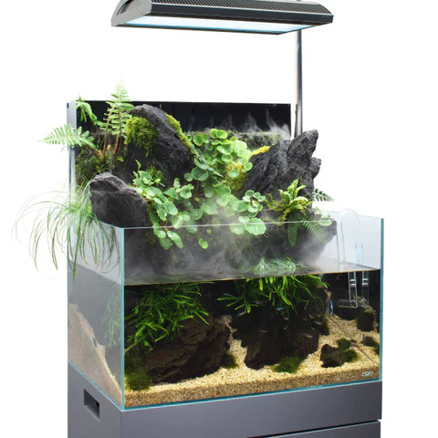 ADA 60 (45) (24 GAL) Rimless Low-Iron Cube Garden Aquarium - Aqua Design Amano - Image 2