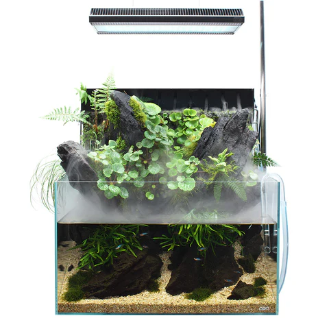 ADA 60 (45) (24 GAL) Rimless Low-Iron Cube Garden Aquarium - Aqua Design Amano - Image 3