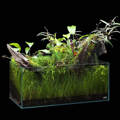 ADA NEW 60-F (10.8 GAL) Rimless Low-Iron Cube Garden Aquarium - Aqua Design Amano - Image 9