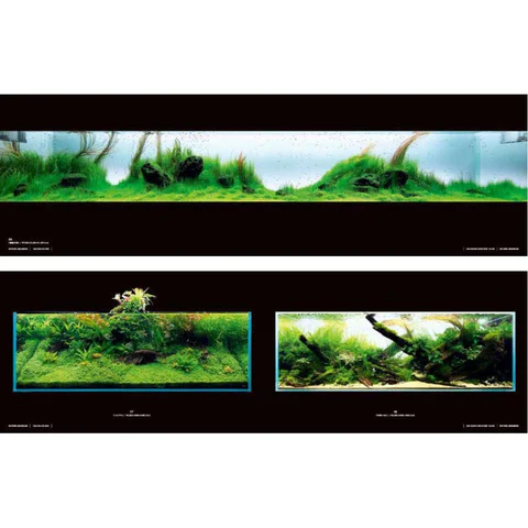 ADA Suikei Creators Photo Book - ADA - Image 2