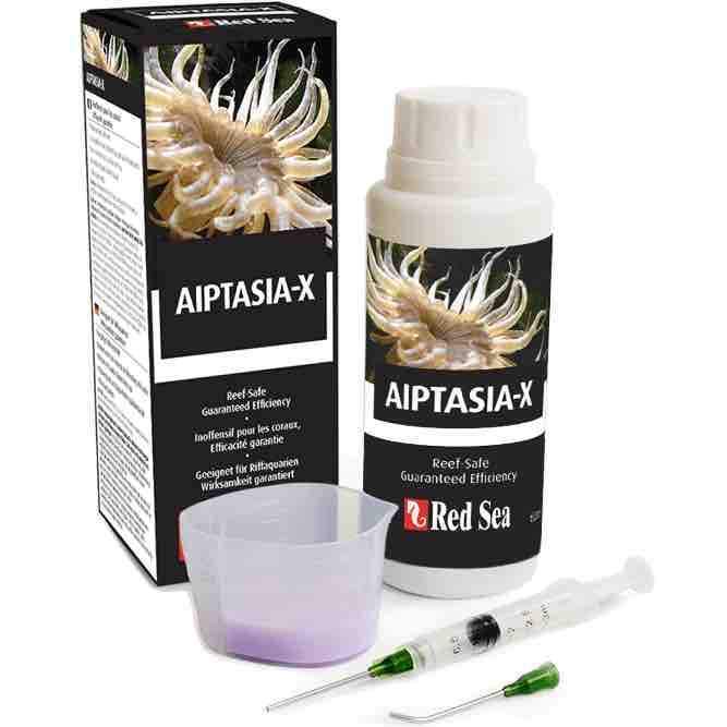 Aiptasia-X - Red Sea - Image 2