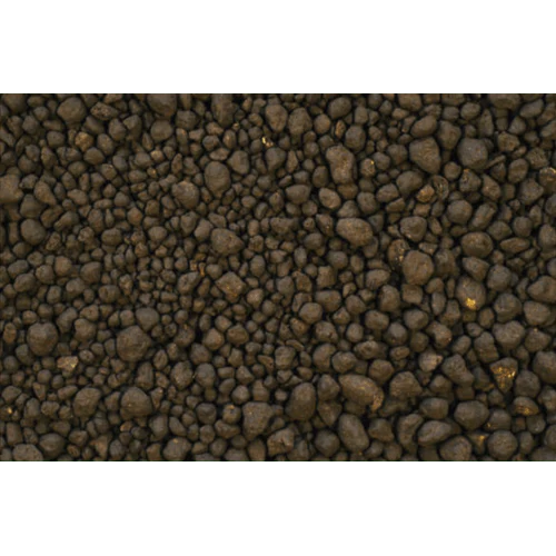 Amazonia Version 2, Normal Type - ADA - Image 3