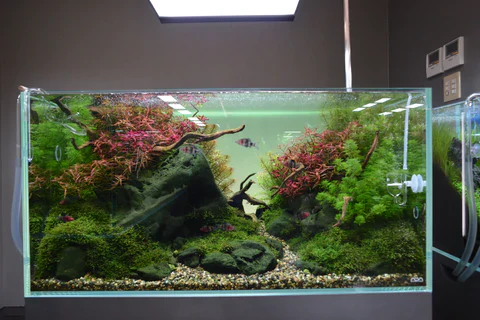 Aqua Gravel - ADA - Image 5