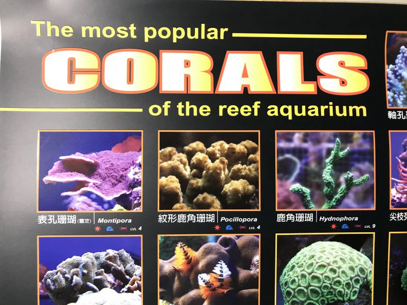 Aquarium Hobbyist Posters - Azoo - Image 3