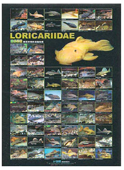 Aquarium Hobbyist Posters - Azoo - Image 5