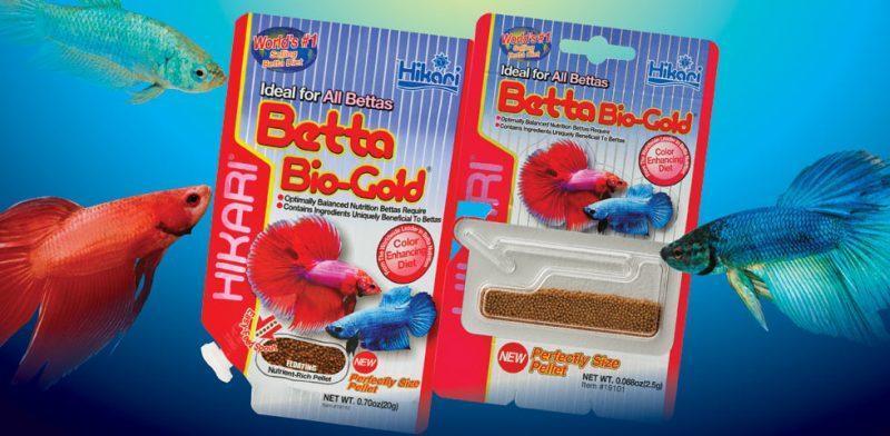 Betta Bio-Gold Floating Pellet Food - Hikari - Image 4