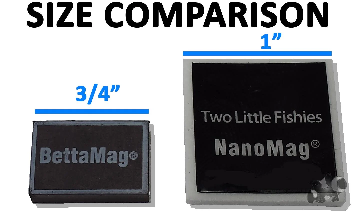 BettaMag Magnetic Algae Cleaner - Two Little Fishes - Image 2
