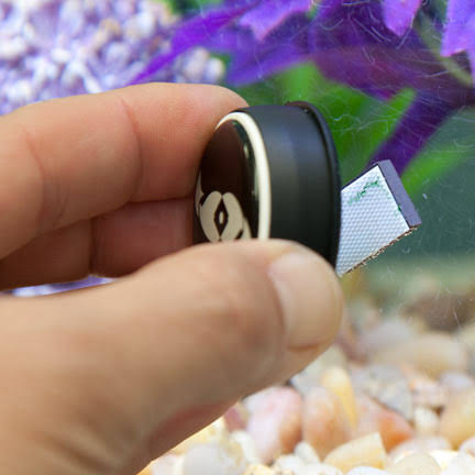 BettaMag Magnetic Algae Cleaner - Two Little Fishes - Image 3