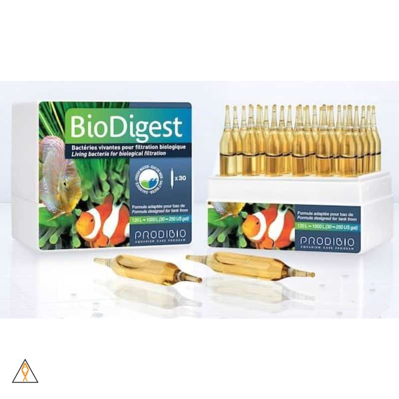 BioDigest Biological Booster - Prodibio - Image 3