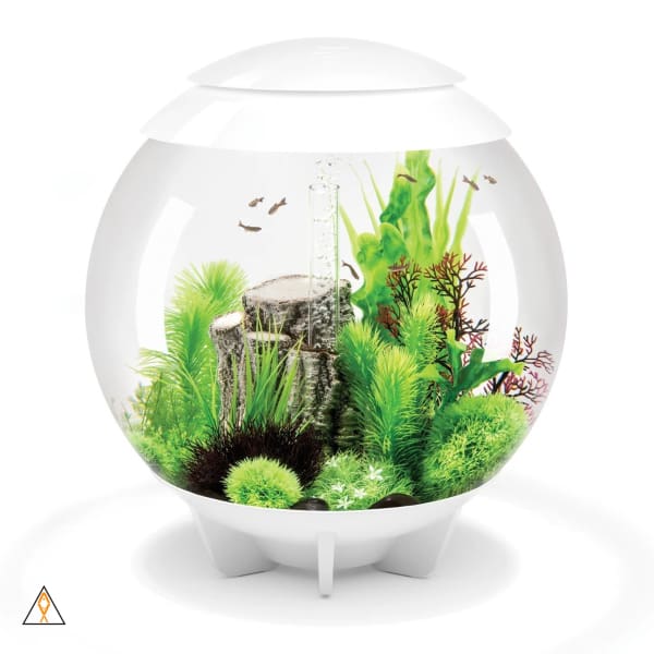 BiOrb Halo 60 Aquarium Kit (16 GAL) - Oase - Image 2