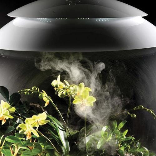 biOrbAIR LED Terrarium - Oase - Image 10