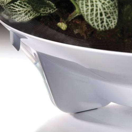 biOrbAIR LED Terrarium - Oase - Image 11