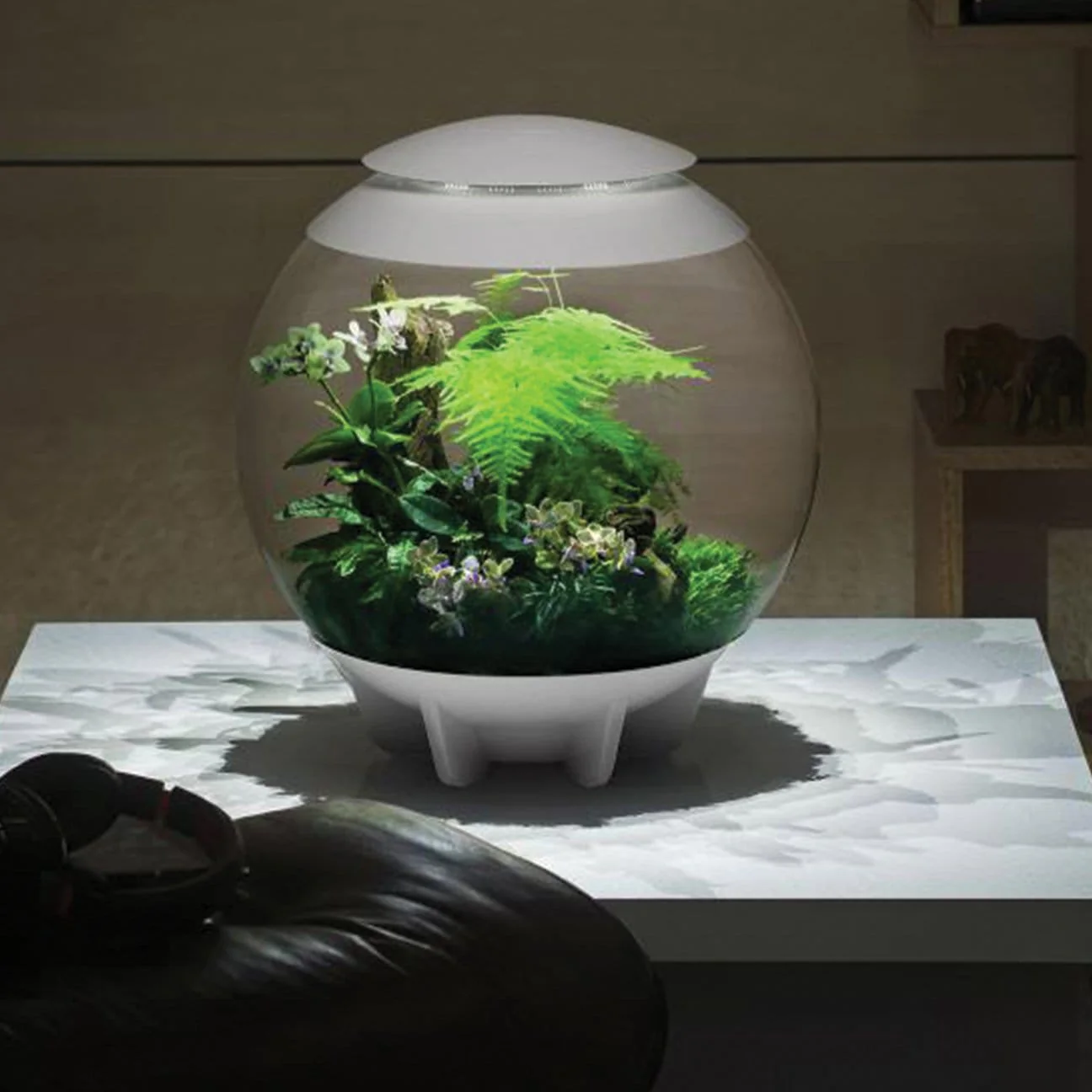 biOrbAIR LED Terrarium - Oase - Image 16
