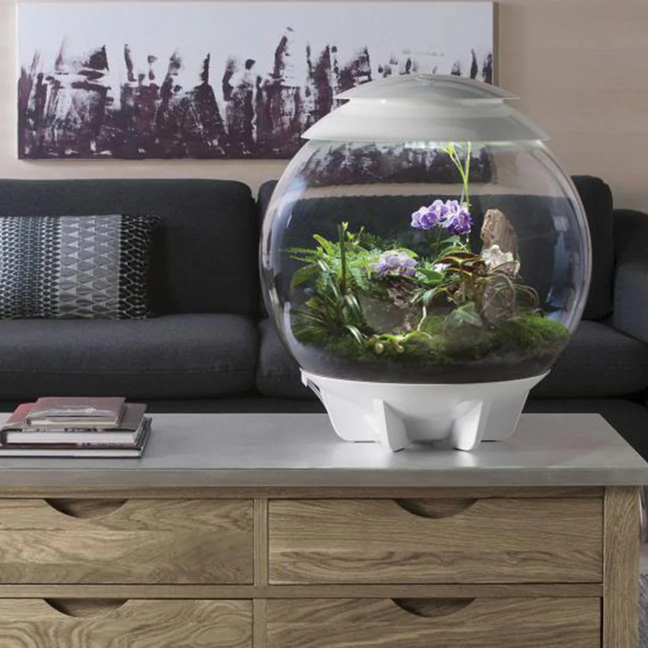 biOrbAIR LED Terrarium - Oase - Image 25
