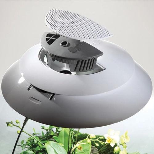 biOrbAIR LED Terrarium - Oase - Image 7
