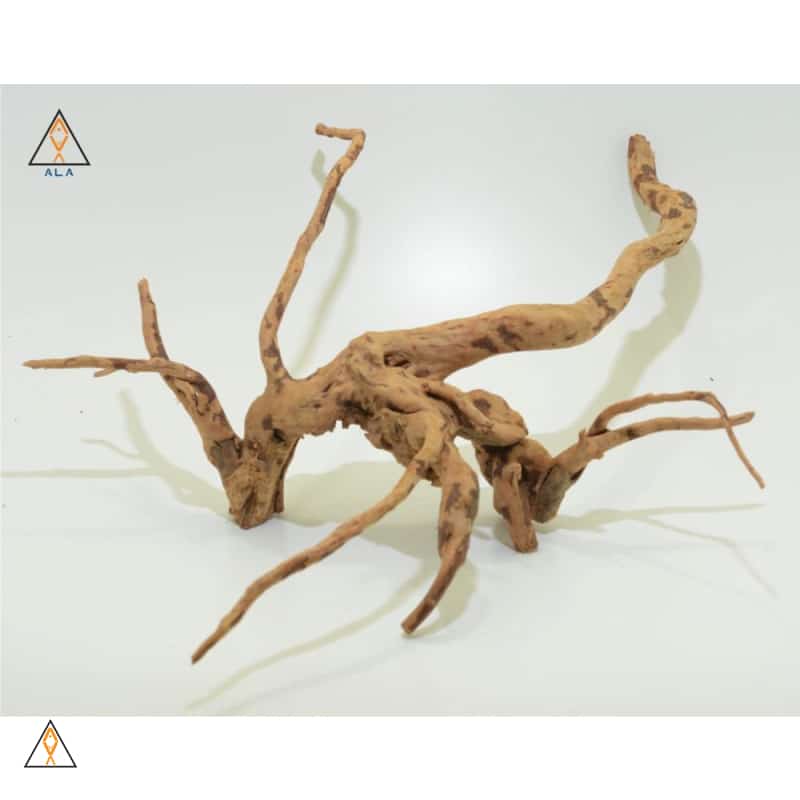 Branched Spider Wood - ALA - Image 3