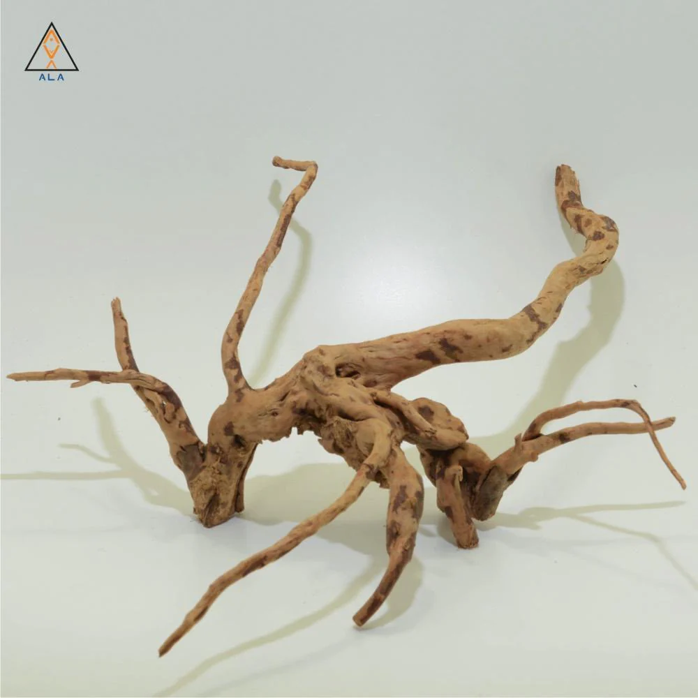 Branched Spider Wood - ALA - Image 8