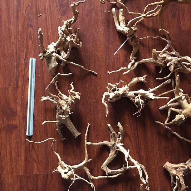 Branched Spider Wood - ALA - Image 9