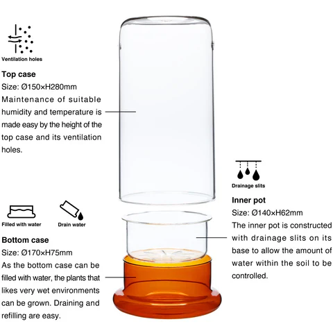 Cell (Glass Pot) - DOOA - Image 5