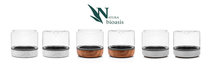 Closed Natura Bioasis Terrarium, Medium - Image 11