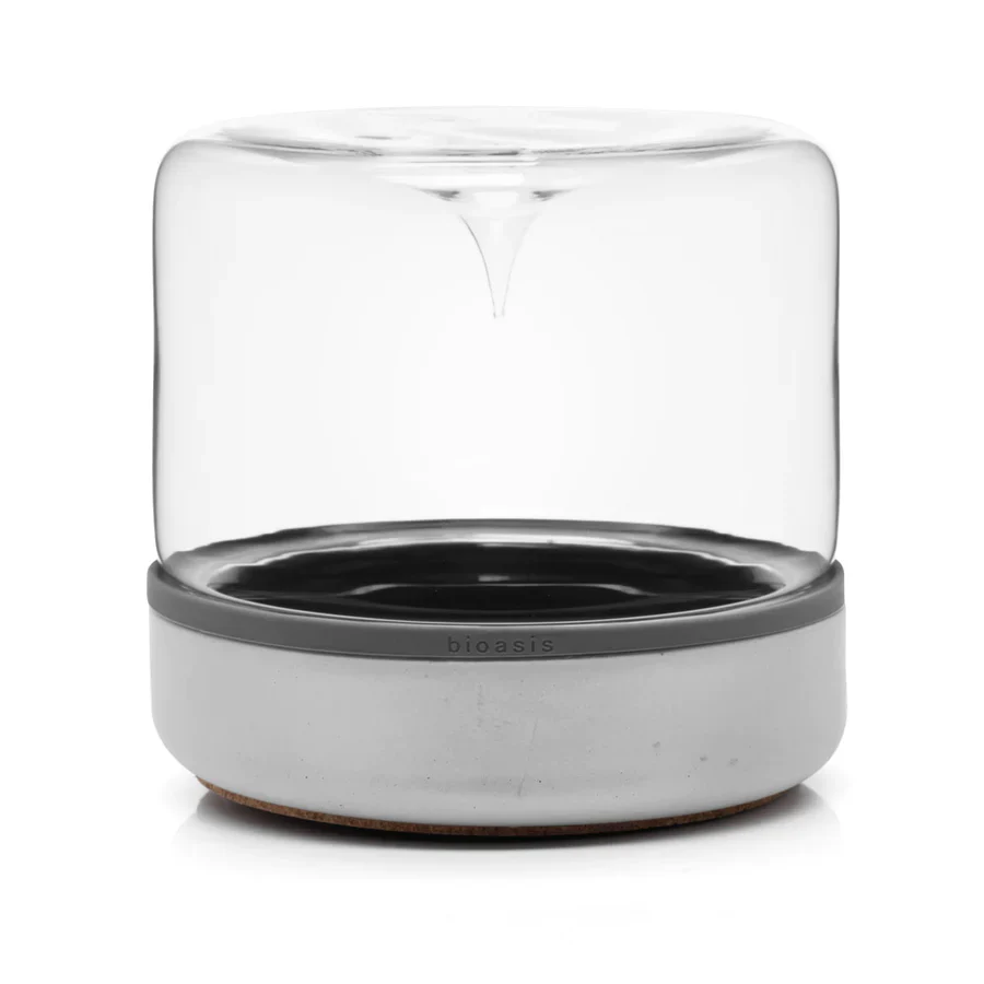 Closed Natura Bioasis Terrarium, Medium - Image 2