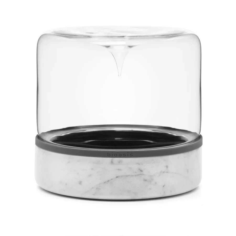 Closed Natura Bioasis Terrarium, Medium - Image 6