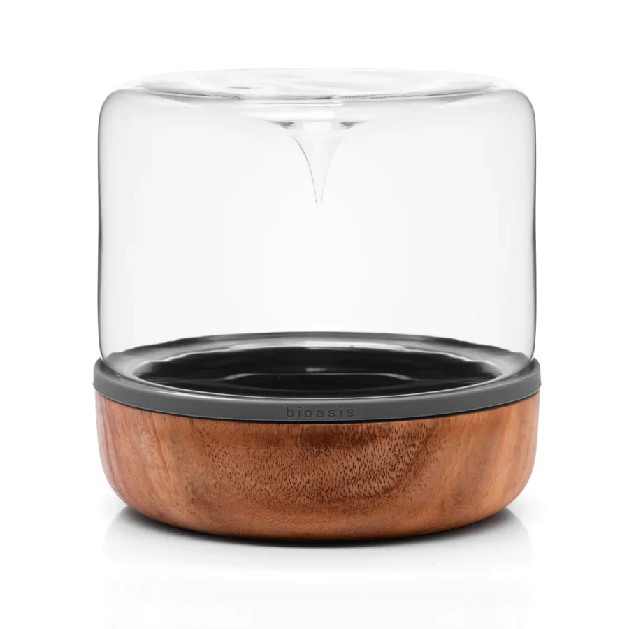 Closed Natura Bioasis Terrarium, Medium - Image 7