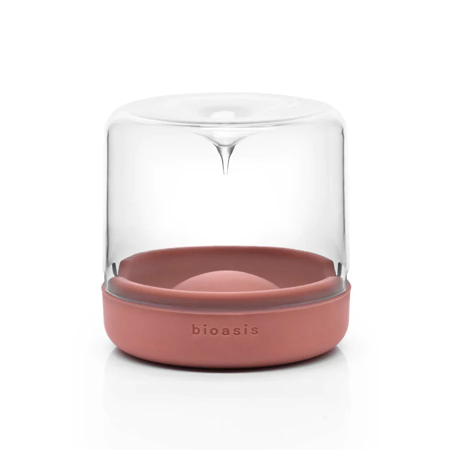 Closed Natura Bioasis Terrarium, Small - Image 10