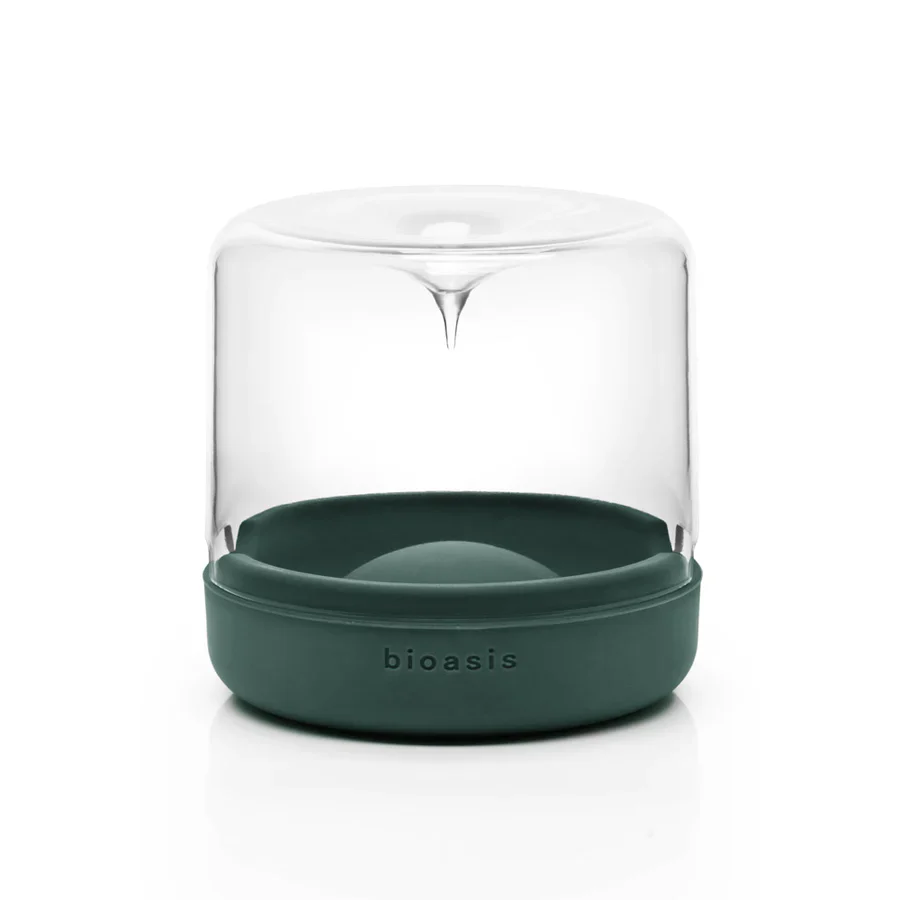 Closed Natura Bioasis Terrarium, Small - Image 4