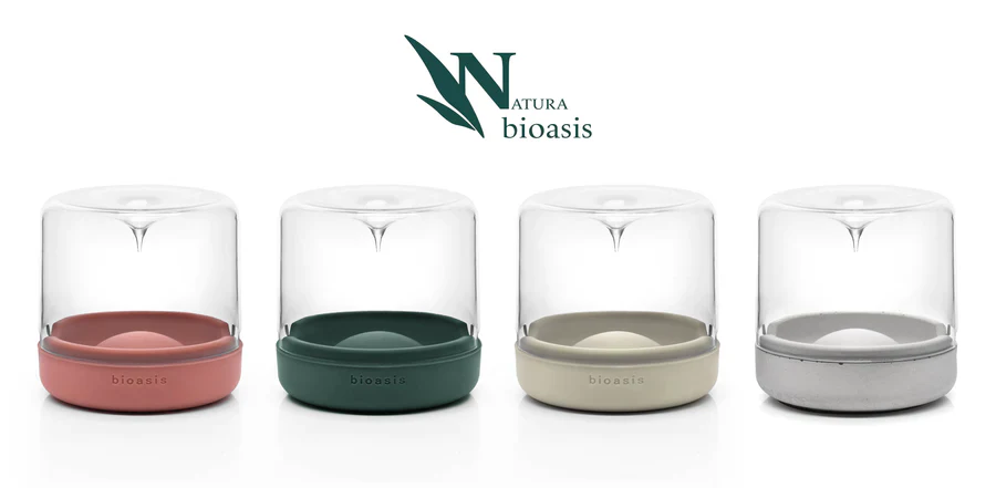 Closed Natura Bioasis Terrarium, Small - Image 7