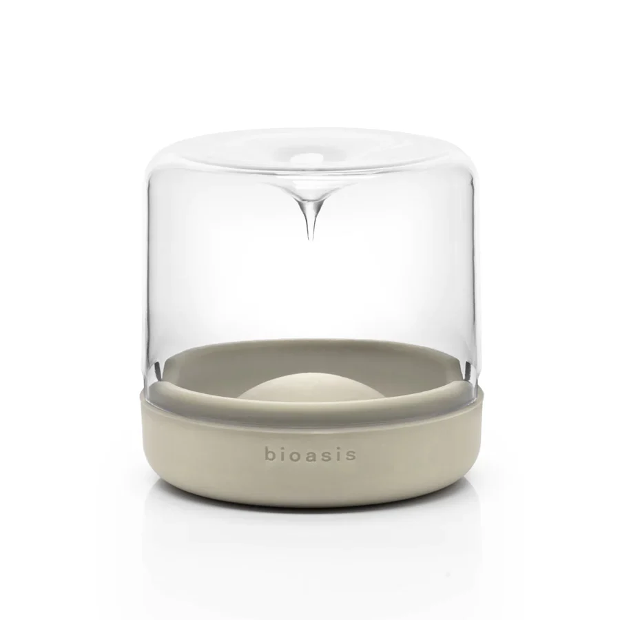 Closed Natura Bioasis Terrarium, Small - Image 9