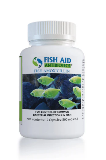 Fish Amoxicillin - Fish Aid Antibiotics - Image 2