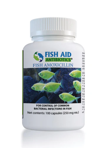 Fish Amoxicillin - Fish Aid Antibiotics - Image 4