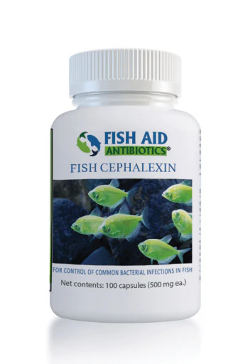 Fish Cephalexin - Fish Aid Antibiotics - Image 2