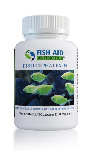 Fish Cephalexin - Fish Aid Antibiotics - Image 3