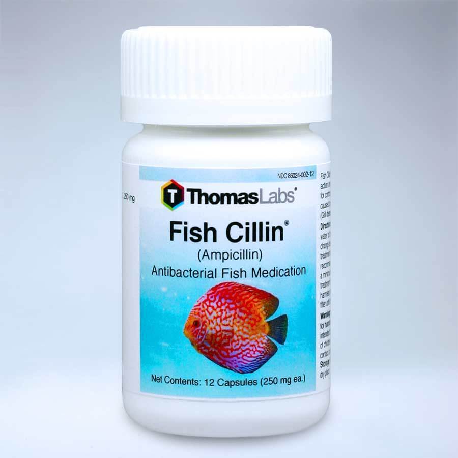 Fish Cillin Ampicillin Antibacterial Fish Medication - Thomas Labs - Image 2