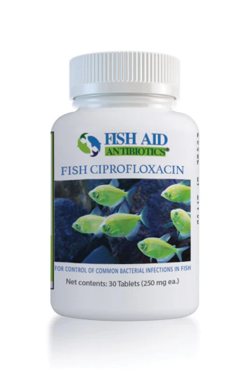 Fish Ciprofloxacin - Fish Aid Antibiotics - Image 3