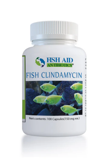 Fish Clindamycin - Fish Aid Antibiotics - Image 2