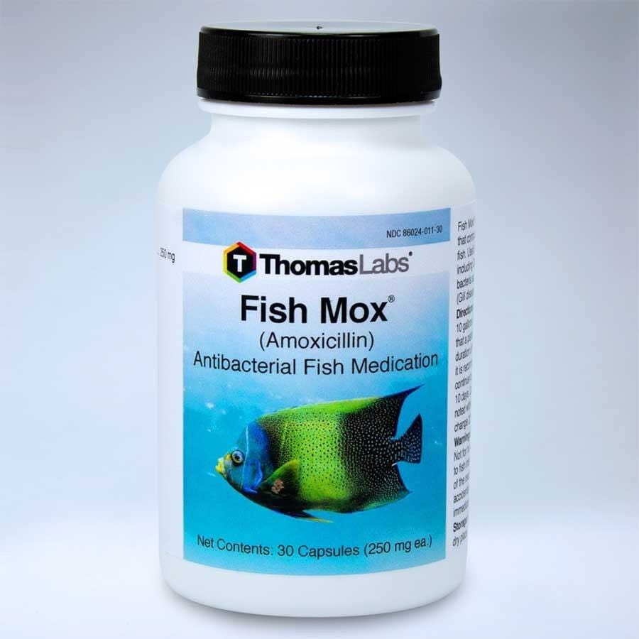 Fish Mox Amoxicillin Antibacterial Fish Medication - Thomas Labs - Image 2