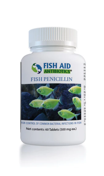 Fish Penicillin - Fish Aid Antibiotics - Image 3