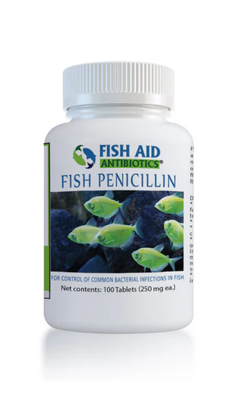 Fish Penicillin - Fish Aid Antibiotics - Image 4