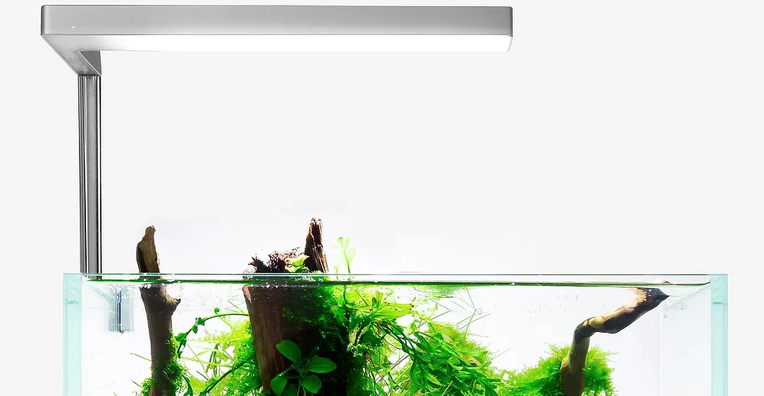 Flat Nano Clip-On LED - ONF - Image 5