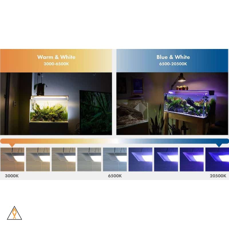 Flat ONE+ LED Light - ONF - Image 3