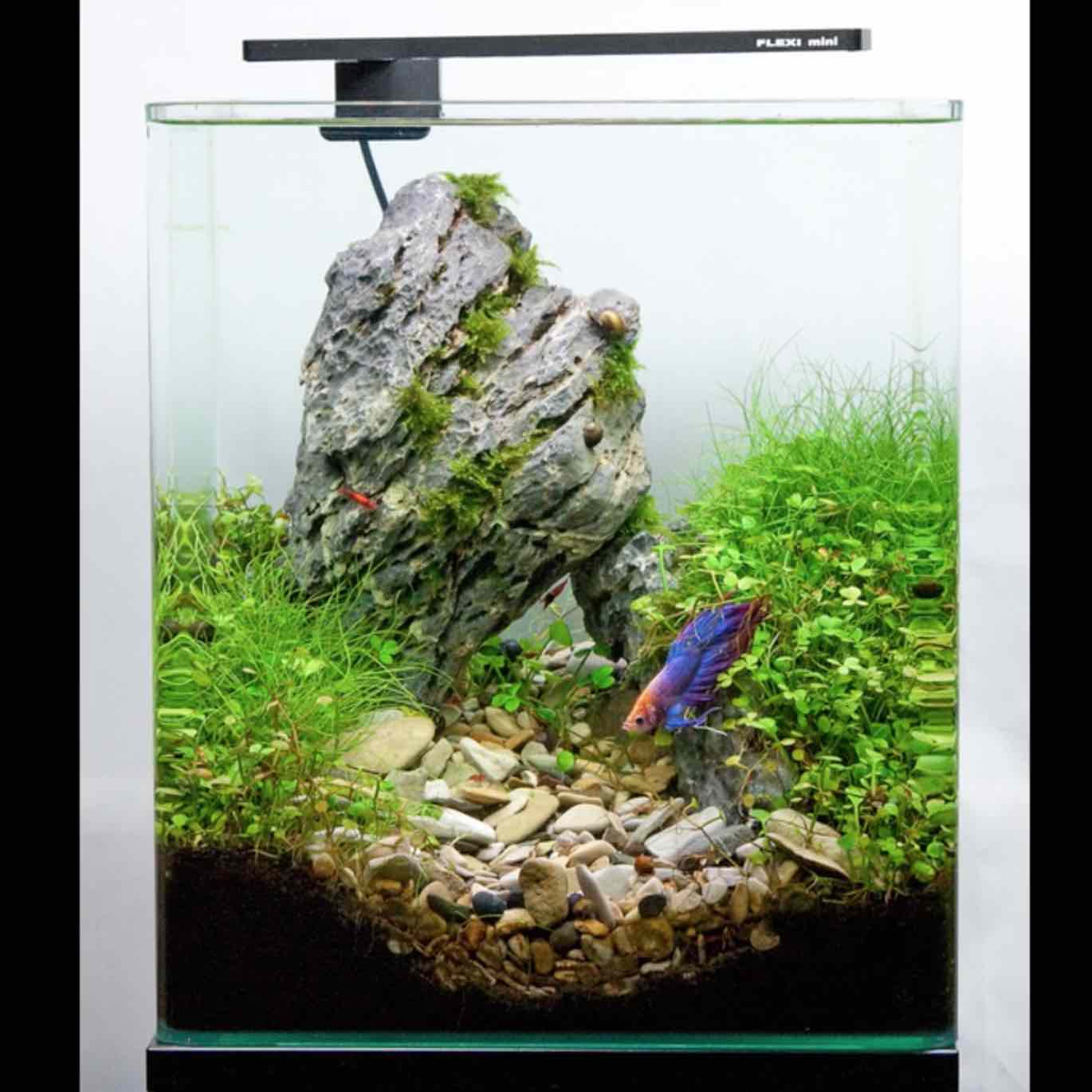 FLEXI Mini LED - Azoo - Image 10